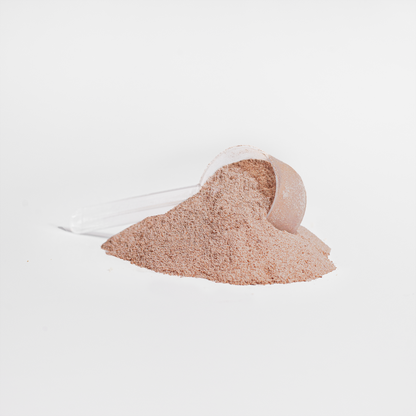 Collagen Peptides Powder — Chocolate